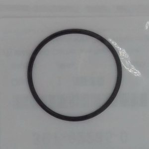O-Ring